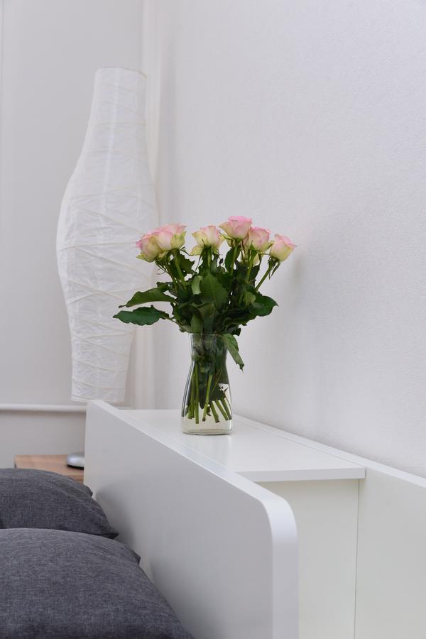 Beatrises Apartamenti Daire Riga Dış mekan fotoğraf
